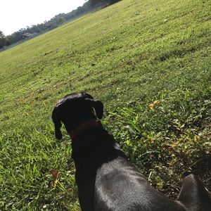 Meet your Posher, Christiana